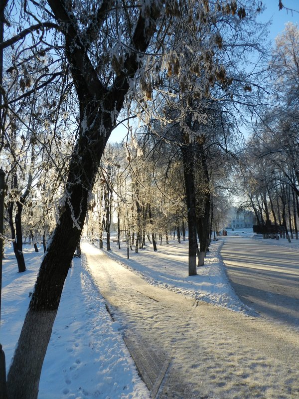 Две зимние дороги - Анатолий Кувшинов