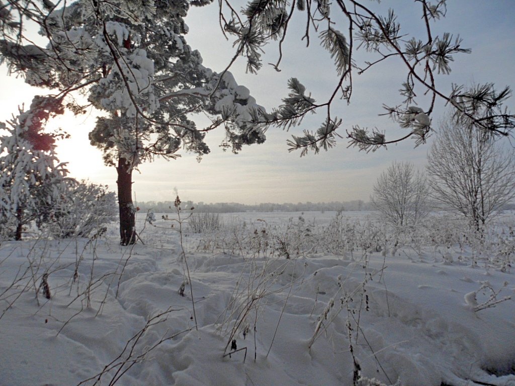 Морозное - Юрий Карелин 