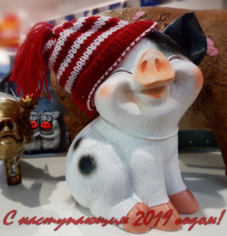 С наступающим Новым 2019 годом, друзья! - Ольга Русанова (olg-rusanowa2010)