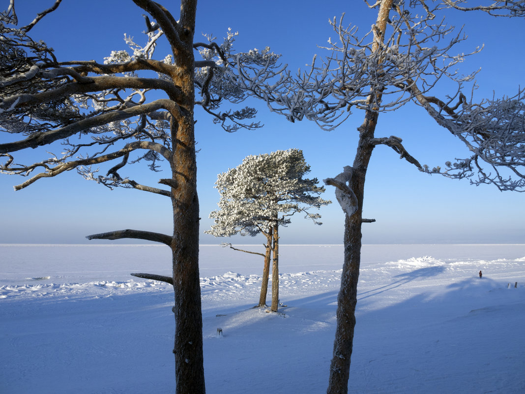 Северодвинск: много зимы и мало лета - Владимир Шибинский