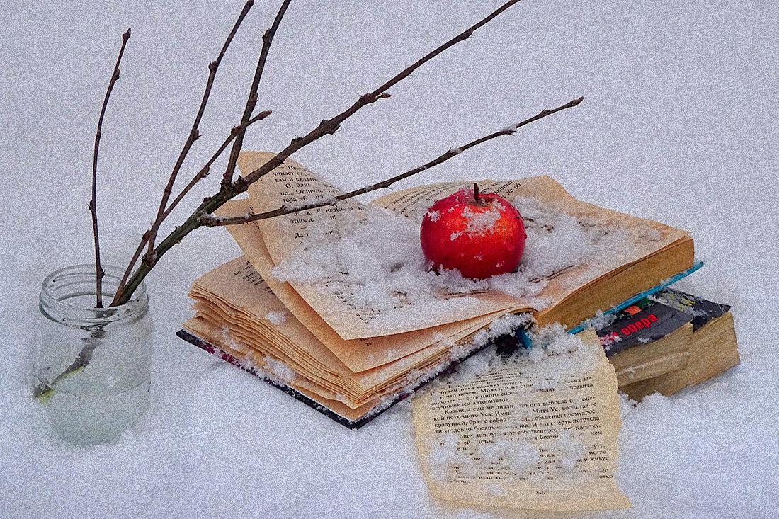 Этюд яблоко на снегу - Павлова Татьяна Павлова