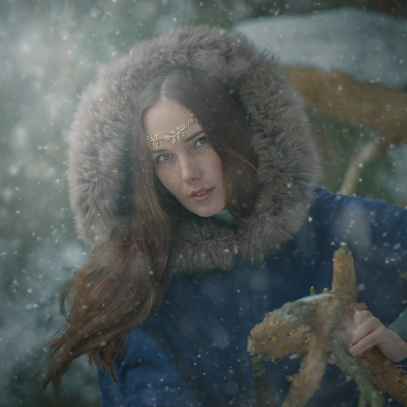 зимний лес - Ирина 