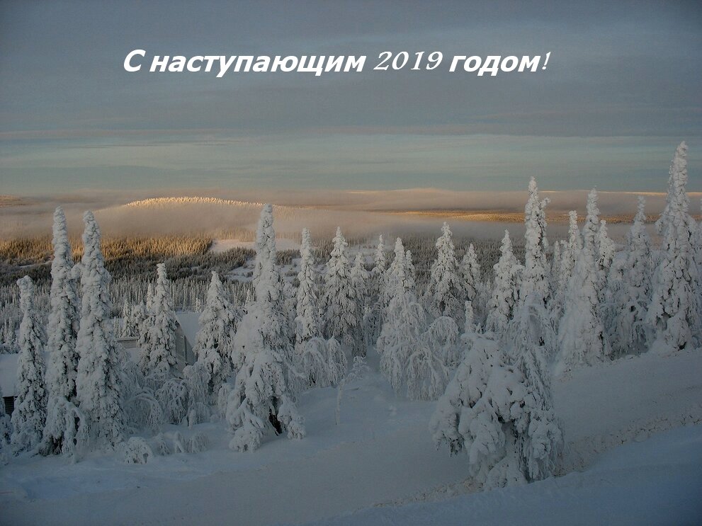 С наступающим Новым годом! Пусть этот год принесет нам только все самое лучшее! - Елена Павлова (Смолова)