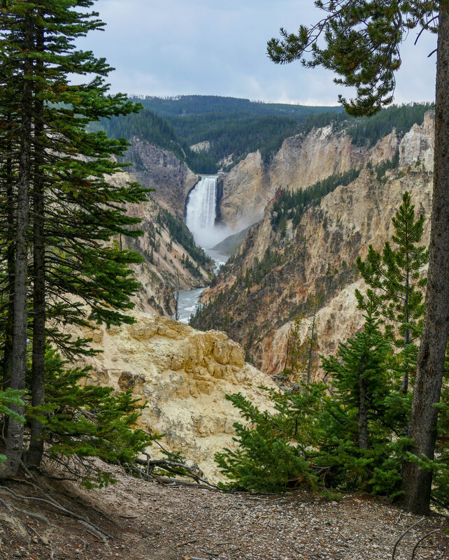 Нижний Йеллоустонский водопад (Lower Yellowstone Falls) на реке Йеллоустон - Юрий Поляков