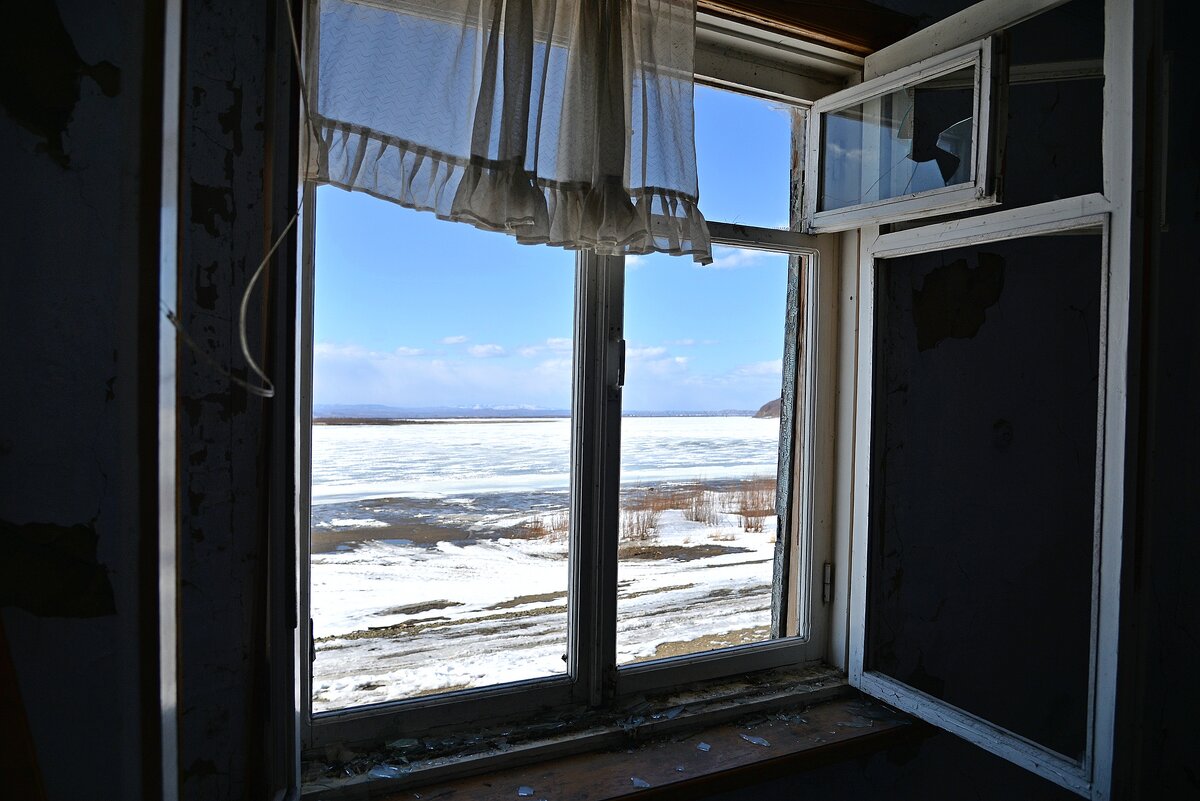 The Window 2020 - Владимир Куликов