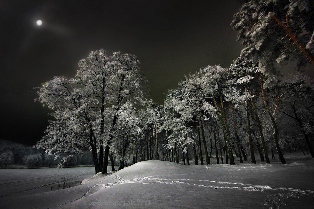 Прощальный звон зимы... - Sergey-Nik-Melnik Fotosfera-Minsk