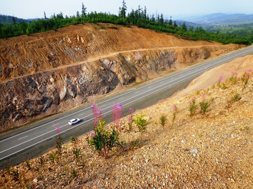 Трасса Чита-Хабаровск, М58 - Любушка 