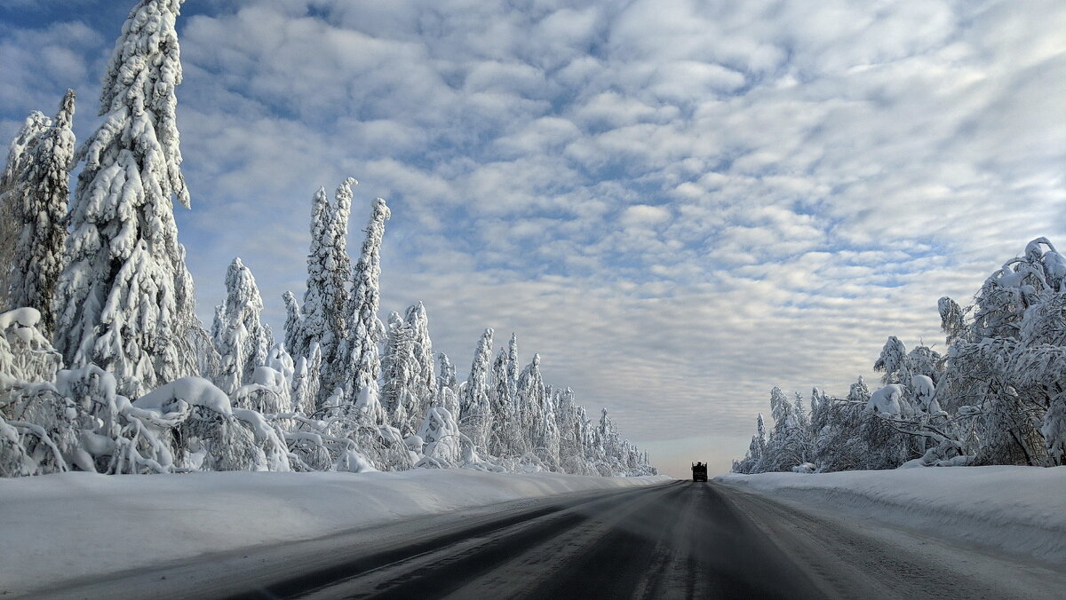 Зимняя дорога - Валерий Молоток