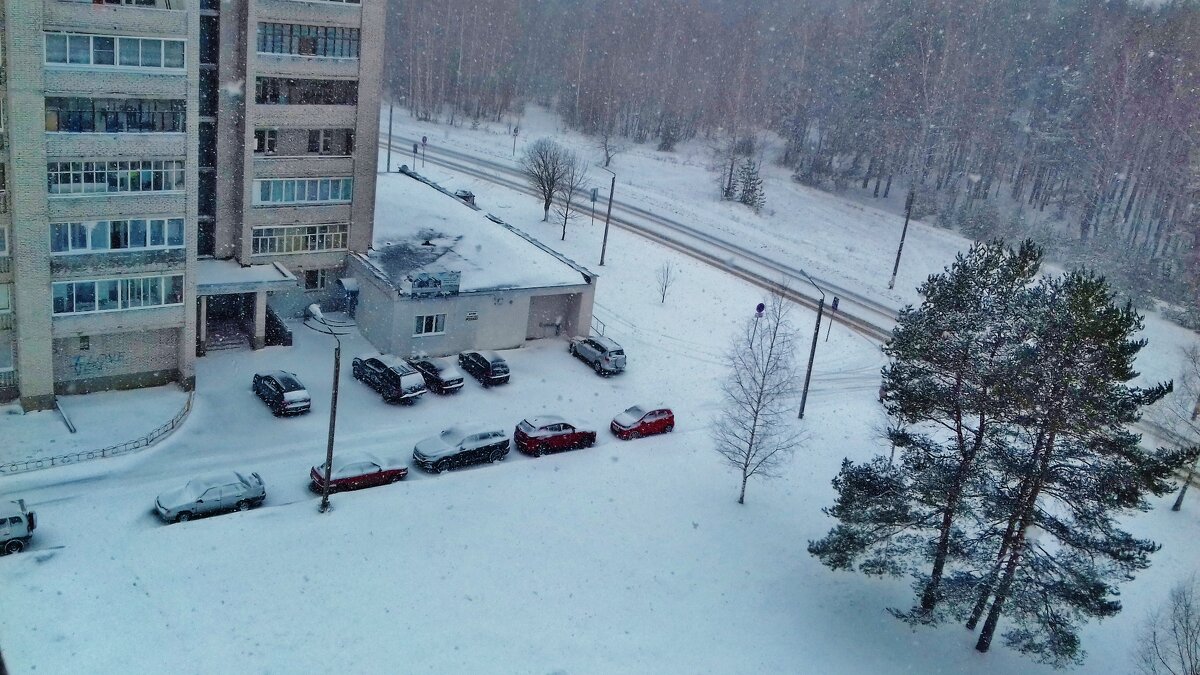 карантин  последний снег - Владимир 