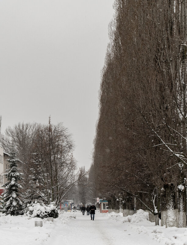 Зима в городе - Юрий ЛМ