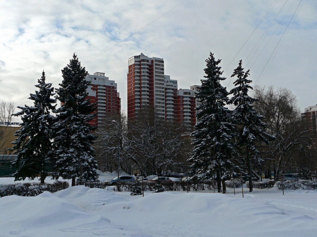 Зима - Наталья Цыганова 
