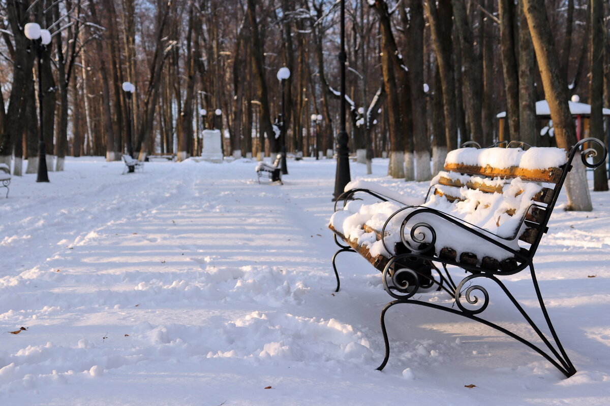 Скамейка в зимнем парке. - Сергей Пиголкин