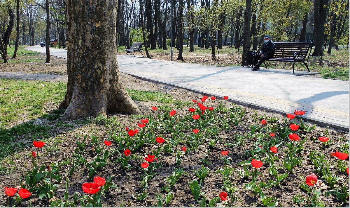 Весна карантинная - Людмила 