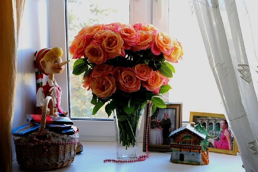 Розы на окне, осень за окном - Надежд@ Шавенкова