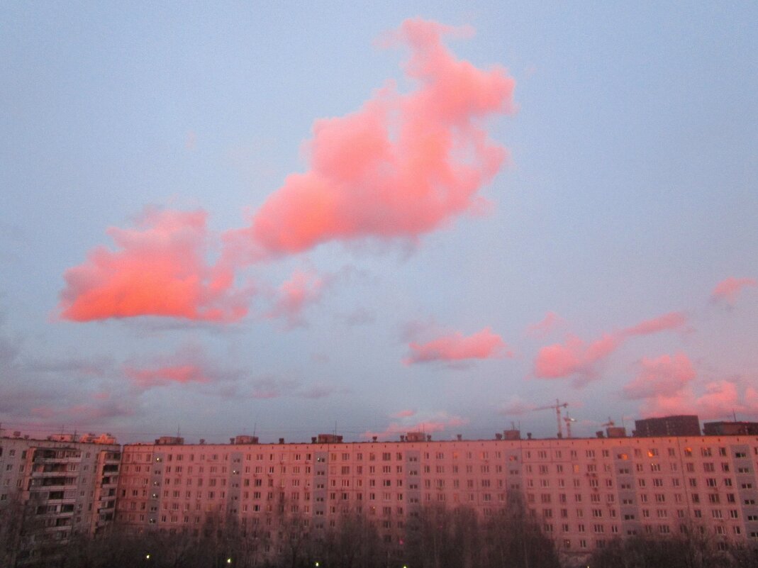 Закат над Москвой - Ольга Довженко
