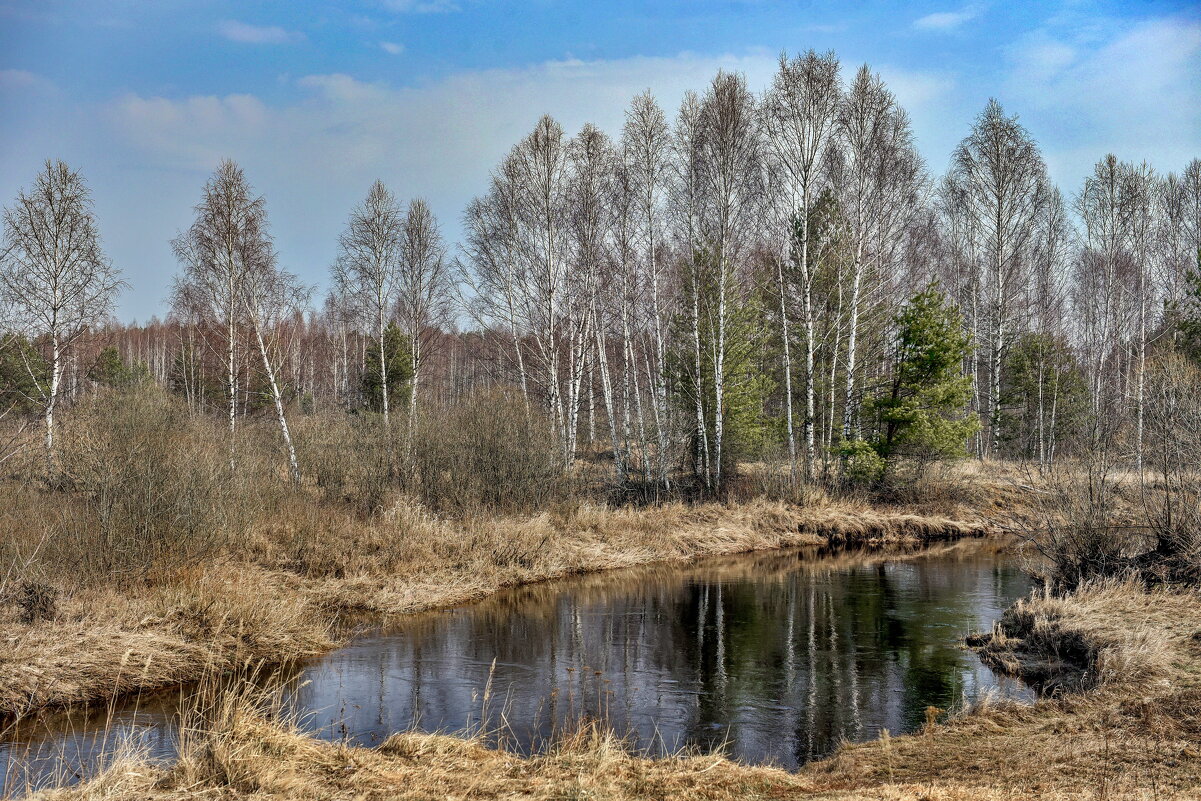 *** - АЛЕКСАНДР СУВОРОВ