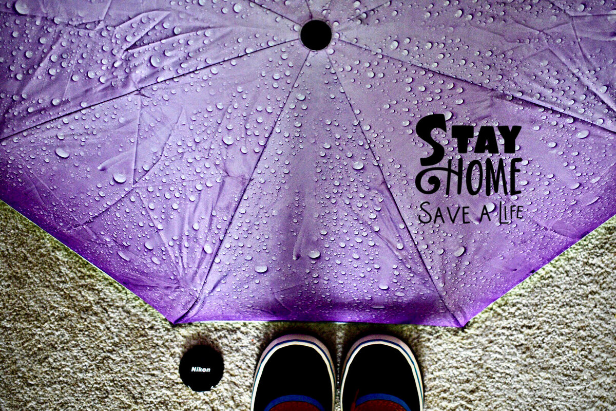 под зонтами люди носят мечты - regina_grey 