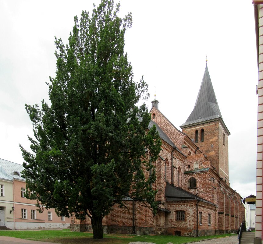 Главная церковь Тарту — церковь св. Иоанна (она же Яановская церковь) - Елена Павлова (Смолова)