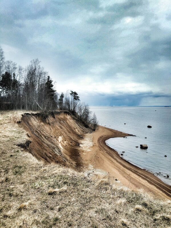 Балтийско-Ладожский глинт. Так называется это место на южном берегу Финского залива - ast62 