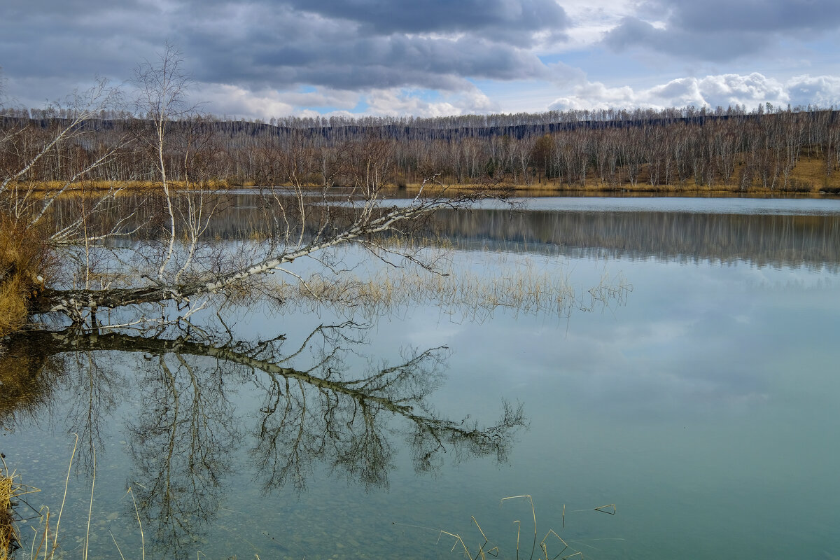 У озера в апреле - Алексей Мезенцев