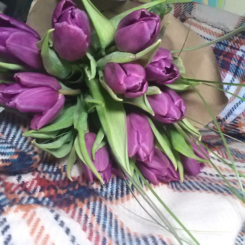 Tulips... - Наталья Абрамова