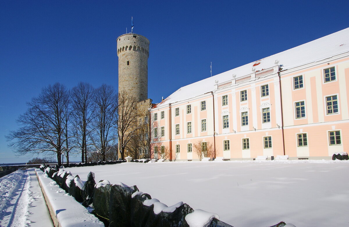 Башня Длинный Герман и здание Парламента Эстонии - Андрей K.
