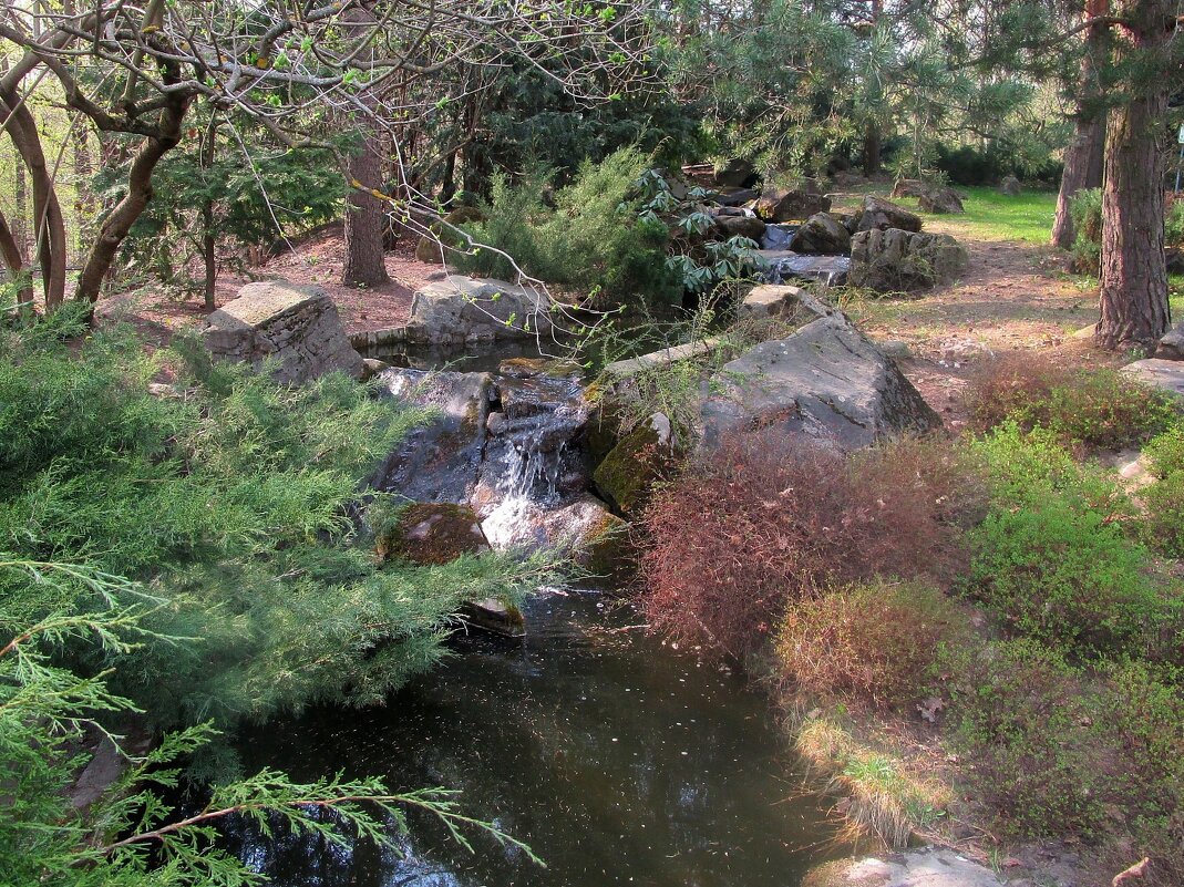 Каскадный ручей в Японском саду - Ольга Довженко