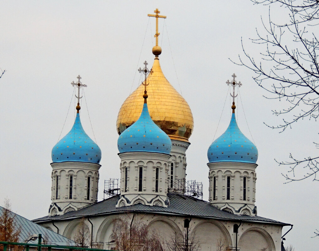 Купола Новоспасского монастыря - Александр Качалин