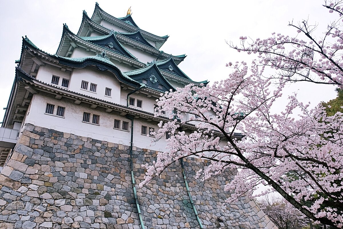 Замок Нагоя  Япония - wea *