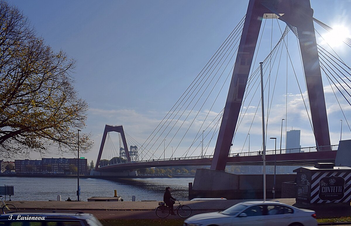 новый мост Уильям (Willembrug) - Красный  мост. Роттердам - Татьяна Ларионова