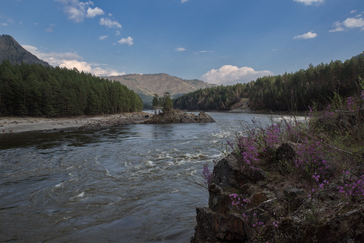 Катунь-река - Виктор Четошников