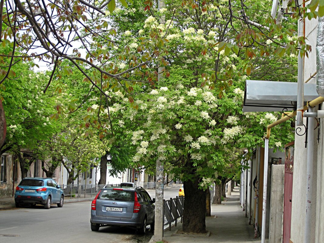 Весна в старом районе города - Валентин Семчишин