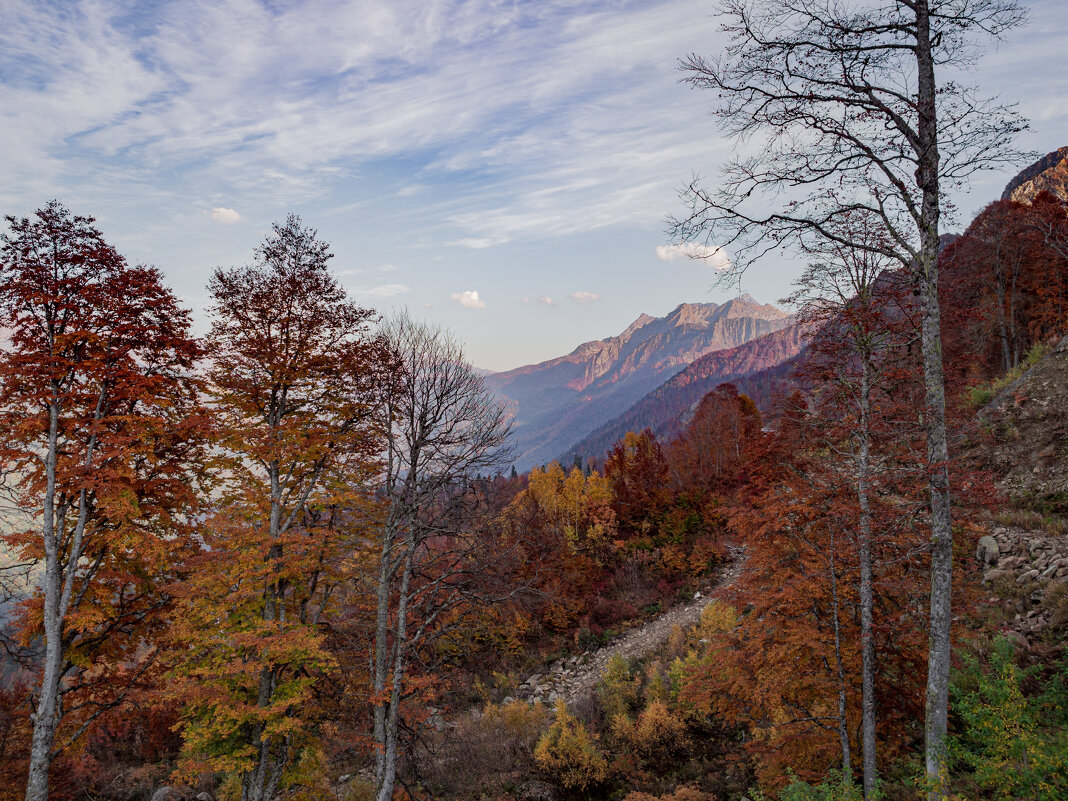 Осенние горы - Олеся Семенова