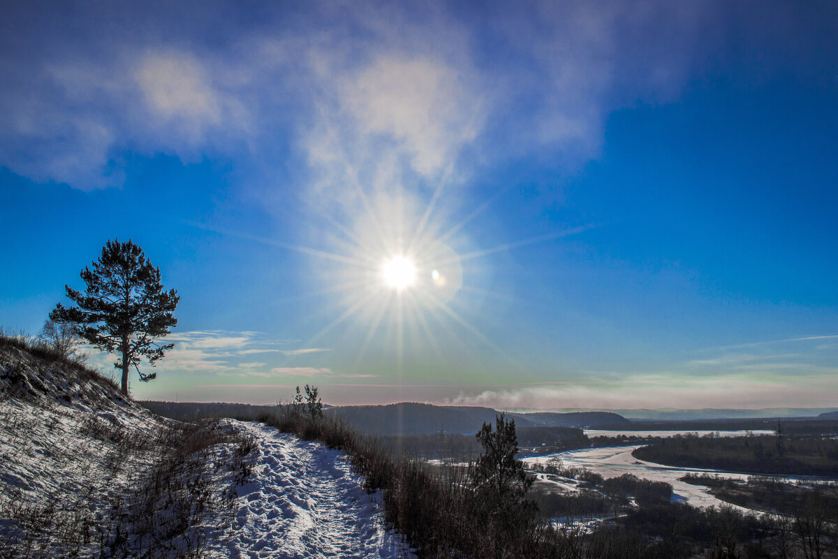 The sun shining brightly and scattering its rays against the blue sky - Roman Griev