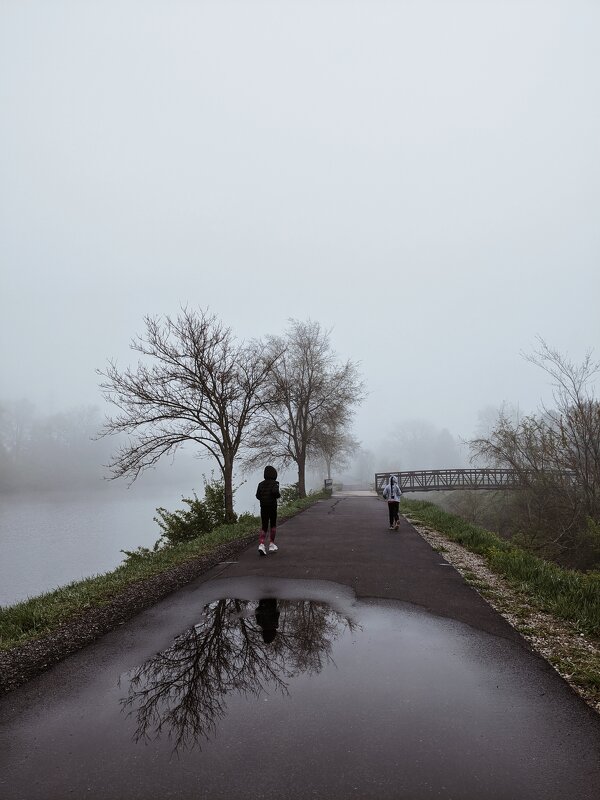The fog - Марина Романова