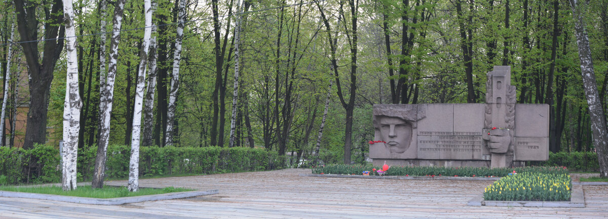 Памятник Ф.Полетаеву в Рязани (панорама) - Александр Буянов