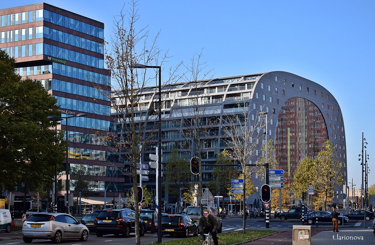 Роттердам. Рынок «Markthal» - Маркетхол - Татьяна Ларионова