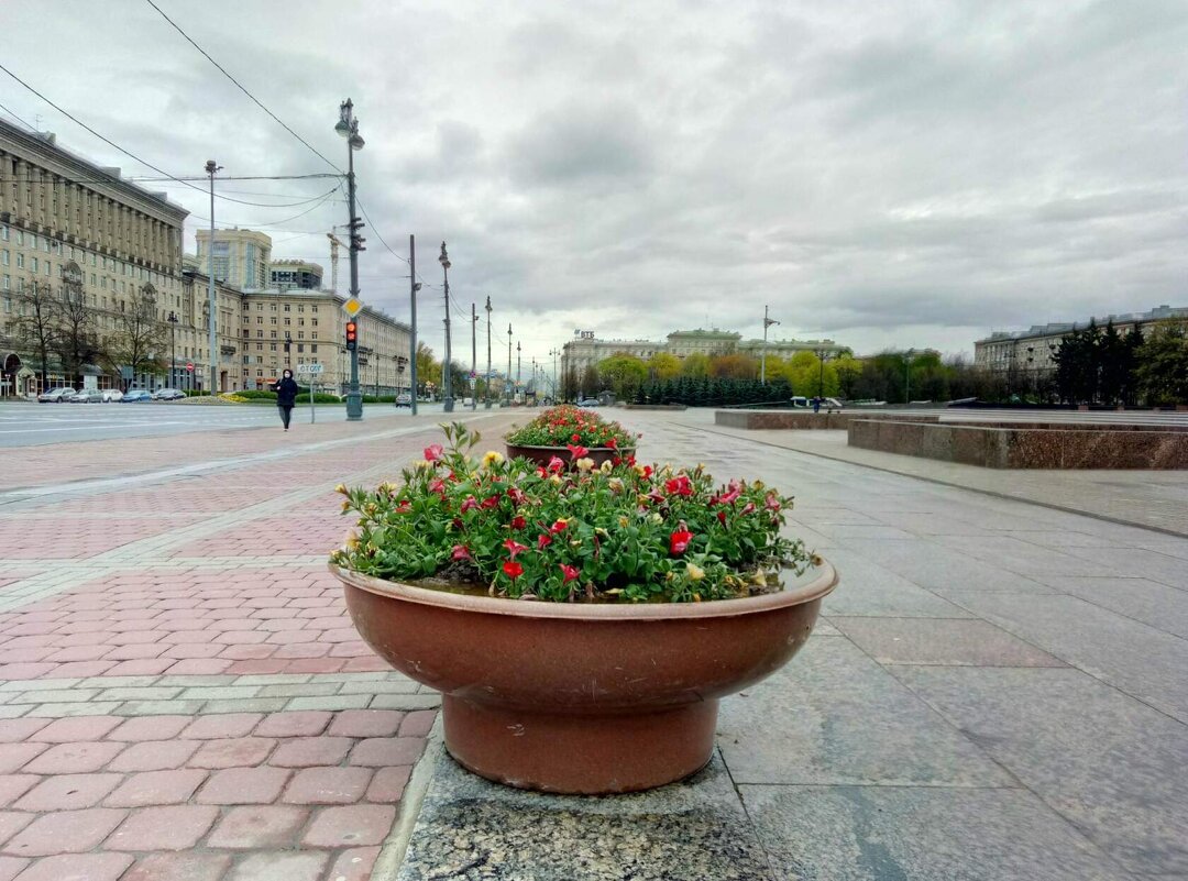 Московская площадь - Елена Вишневская