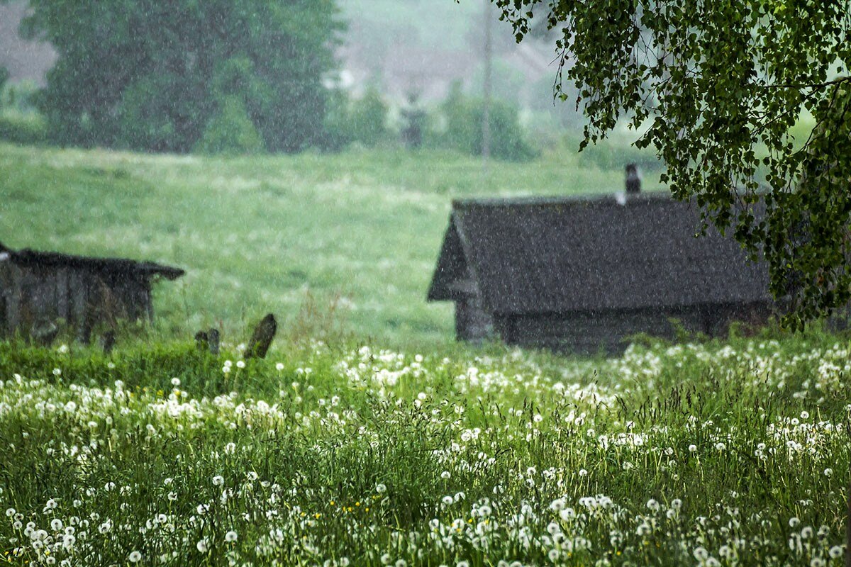 Дождик в деревне - Александр 