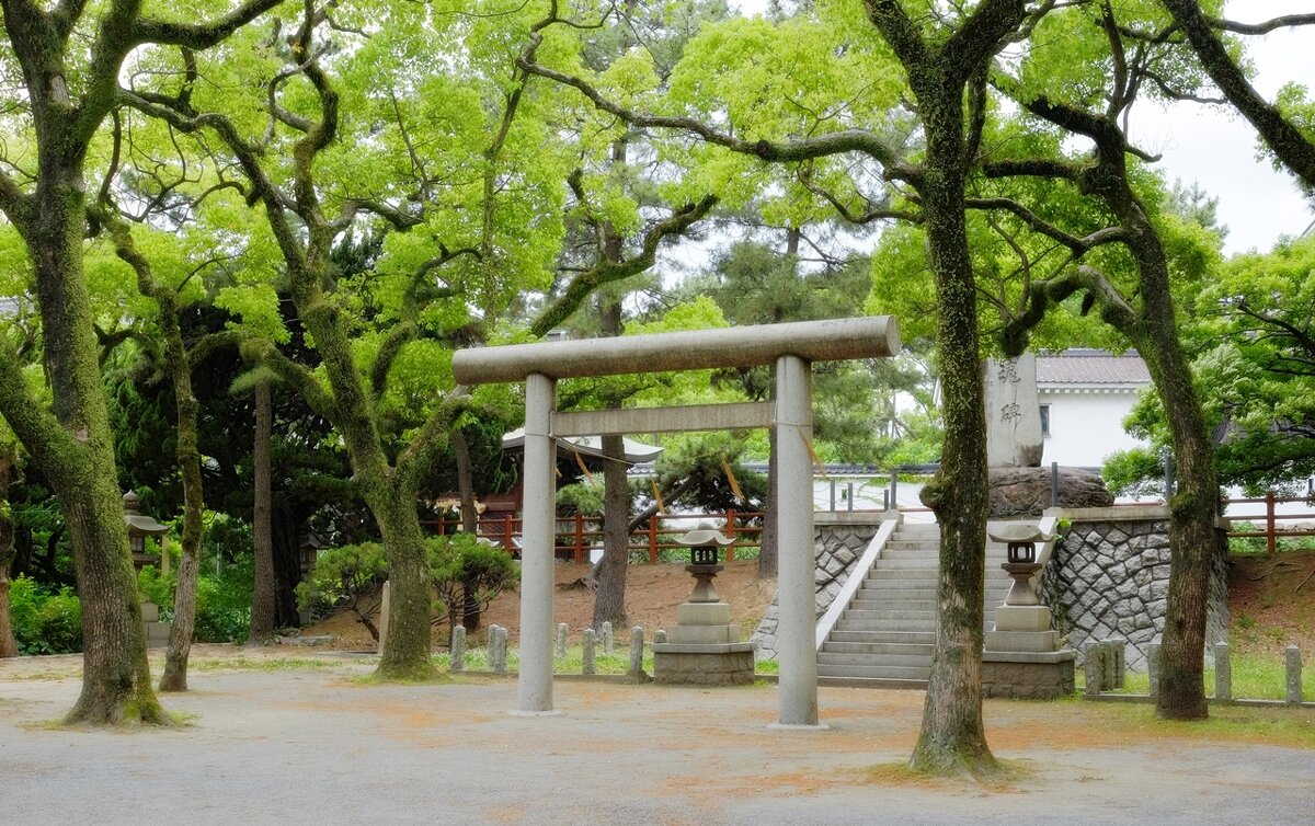 Японский сад замка  Ко́кура  Япония - wea *