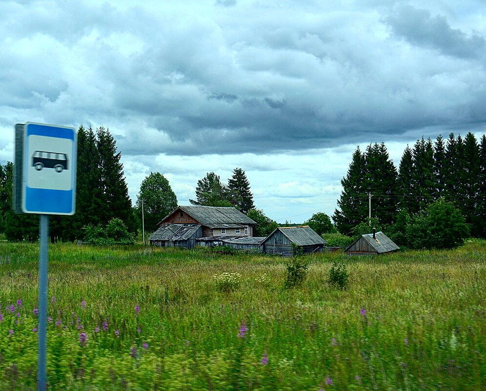 Дом в деревне - Мария Кружалина