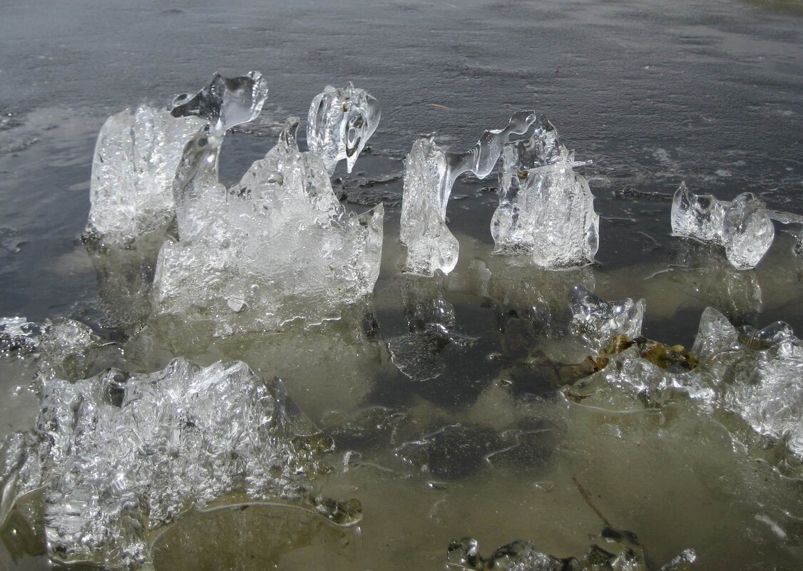 Лед на озере - Anna Ivanova
