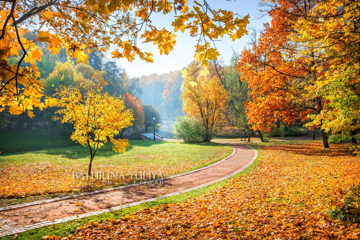 Осенняя дорожка в парке - Юлия Батурина