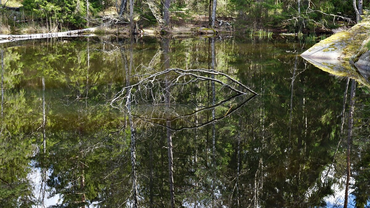 Природа Швеции в отражении (природный арт) - wea *