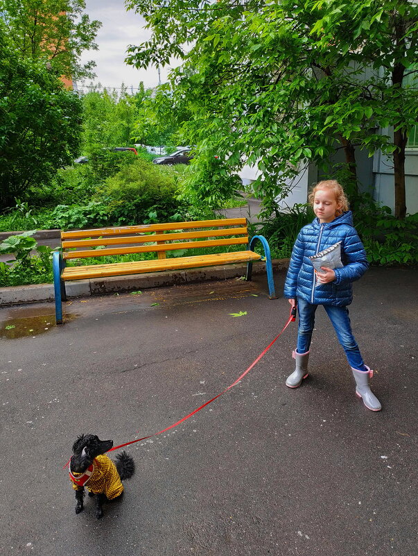 Маленькая дама с маленькой собачкой - Андрей Лукьянов