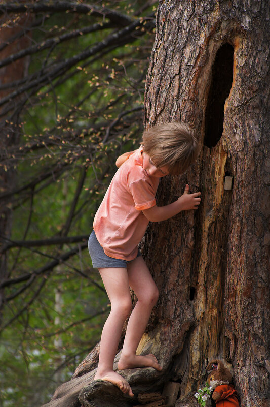 Девочка, держащаяся за ствол дерева - Денис Виленский