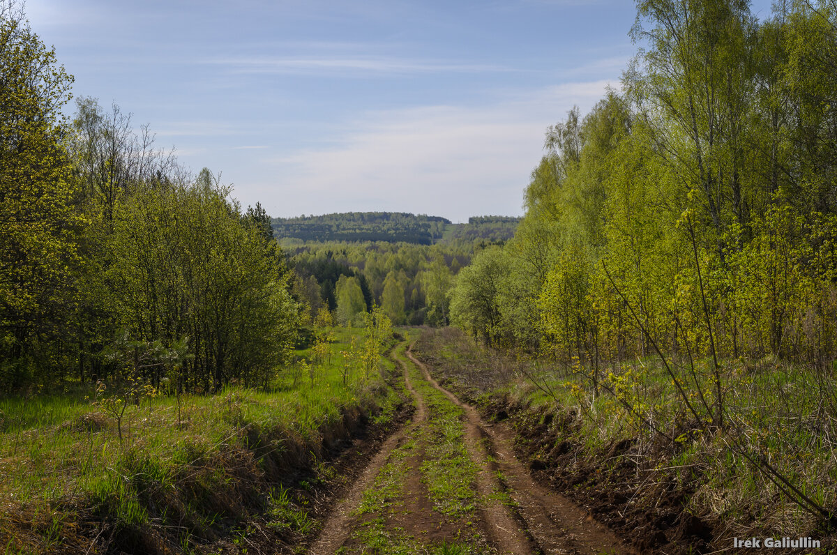 *** - Ирек Галиуллин