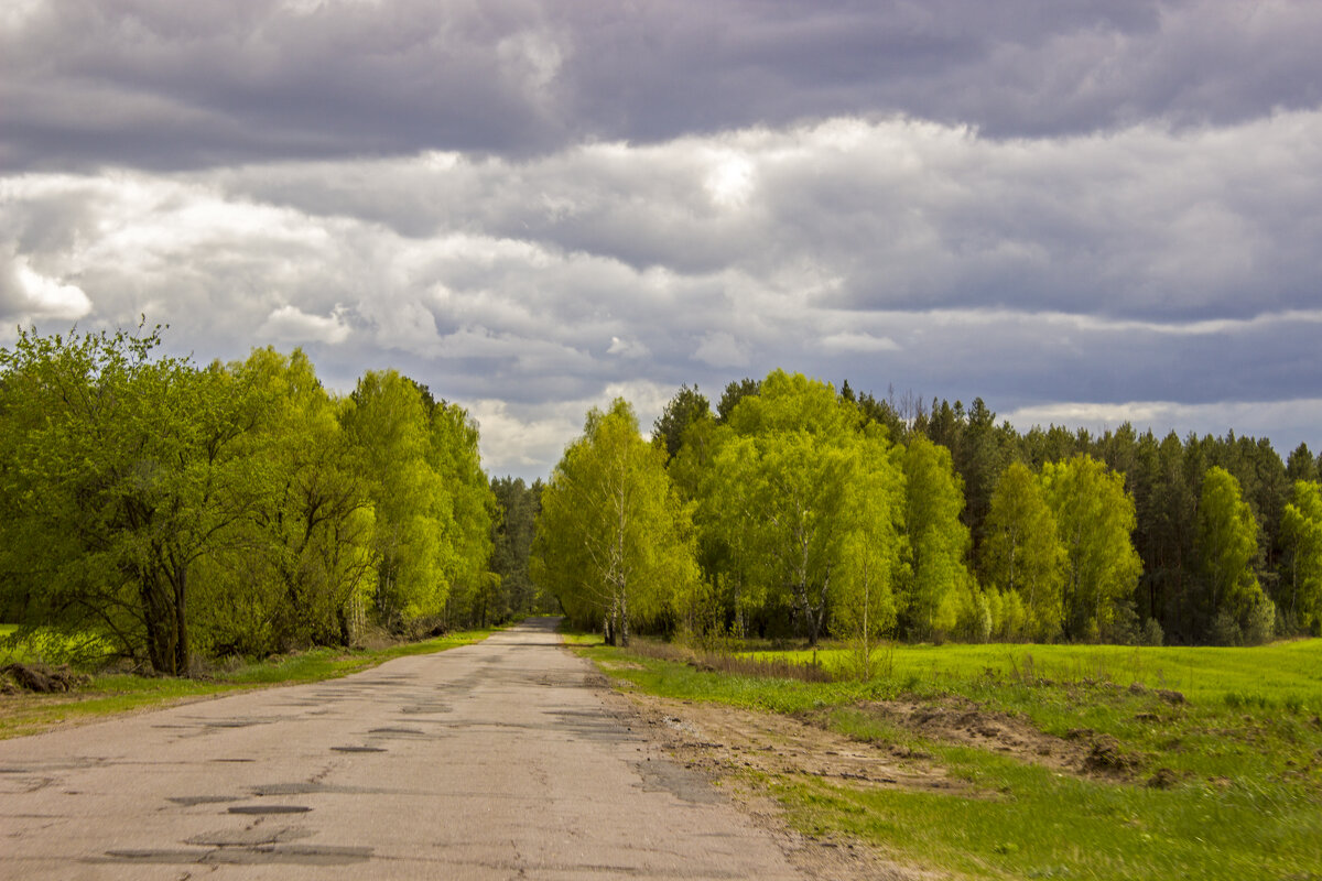 зазеленело - оксана 