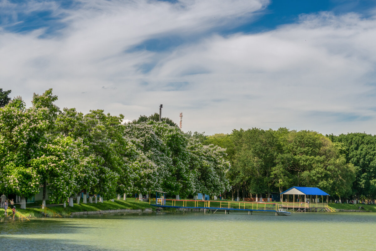 Городское водохранилище - Игорь Сикорский