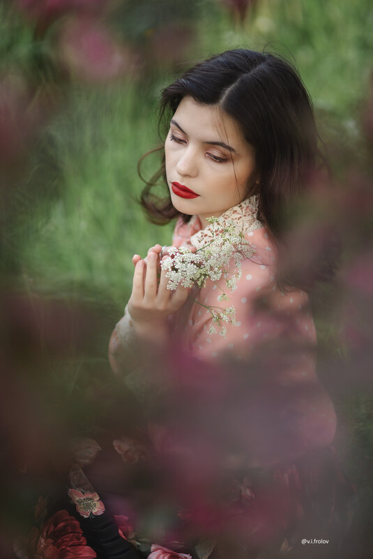 Девушка в вишневом цвету - Валерий Фролов